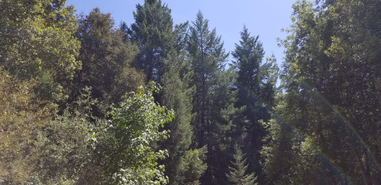 0 Crooked Prairie Road Garberville, CA 95542 - Photo 1 of 1