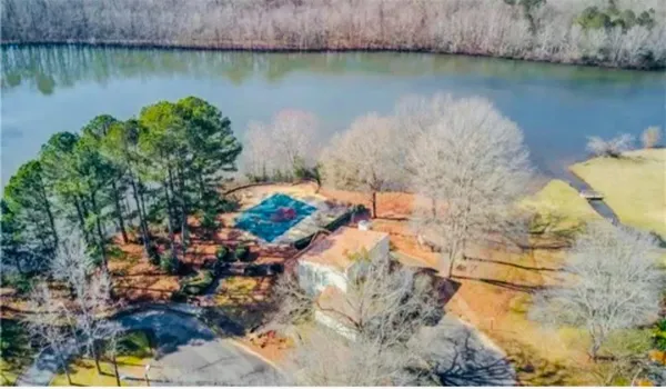 a view of a lake with a mountain and trees