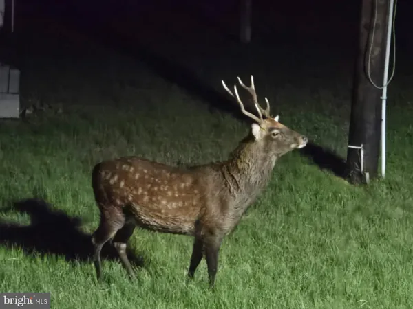 $384,900 | 1511 Crocheron Road, Crocheron, MD 21627