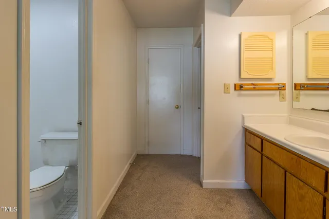 a bathroom with a sink and a toilet