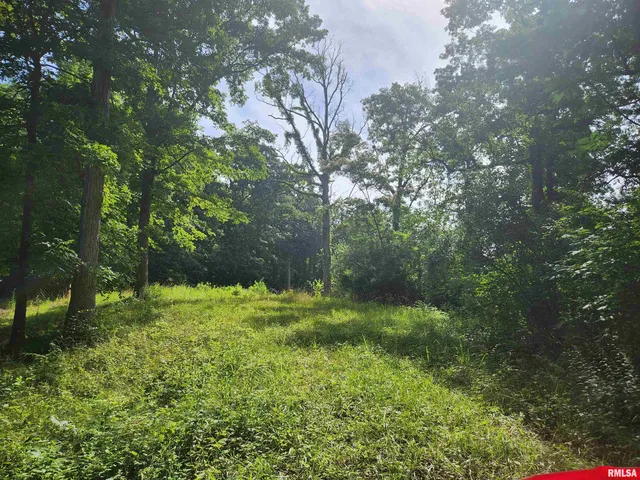 $25,000 | 12326 North Ring Lane, Woodlawn, IL 62898