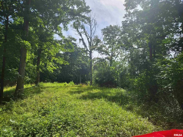 $25,000 | 12326 North Ring Lane, Woodlawn, IL 62898