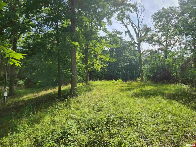 $25,000 | 12326 North Ring Lane, Woodlawn, IL 62898