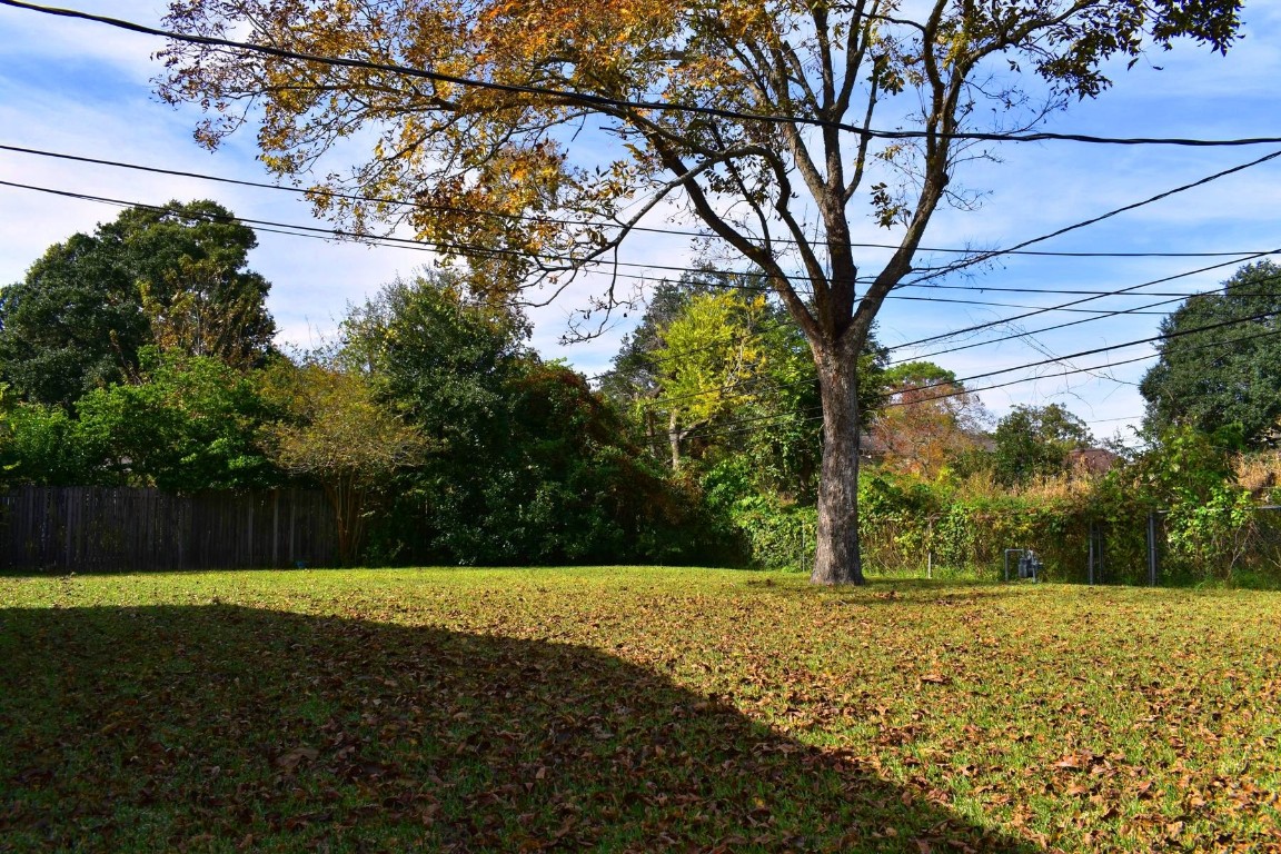 5126 Beechnut Street Houston, TX 77096 - Photo 19 of 20 a view of a yard