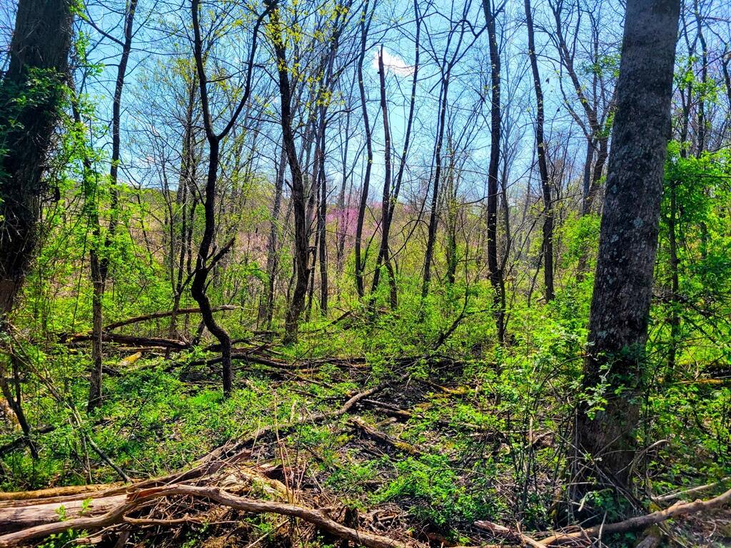 8670 Hoop Pole Road Roseville, OH 43777 - Photo 36 of 65 20220424_124729~2