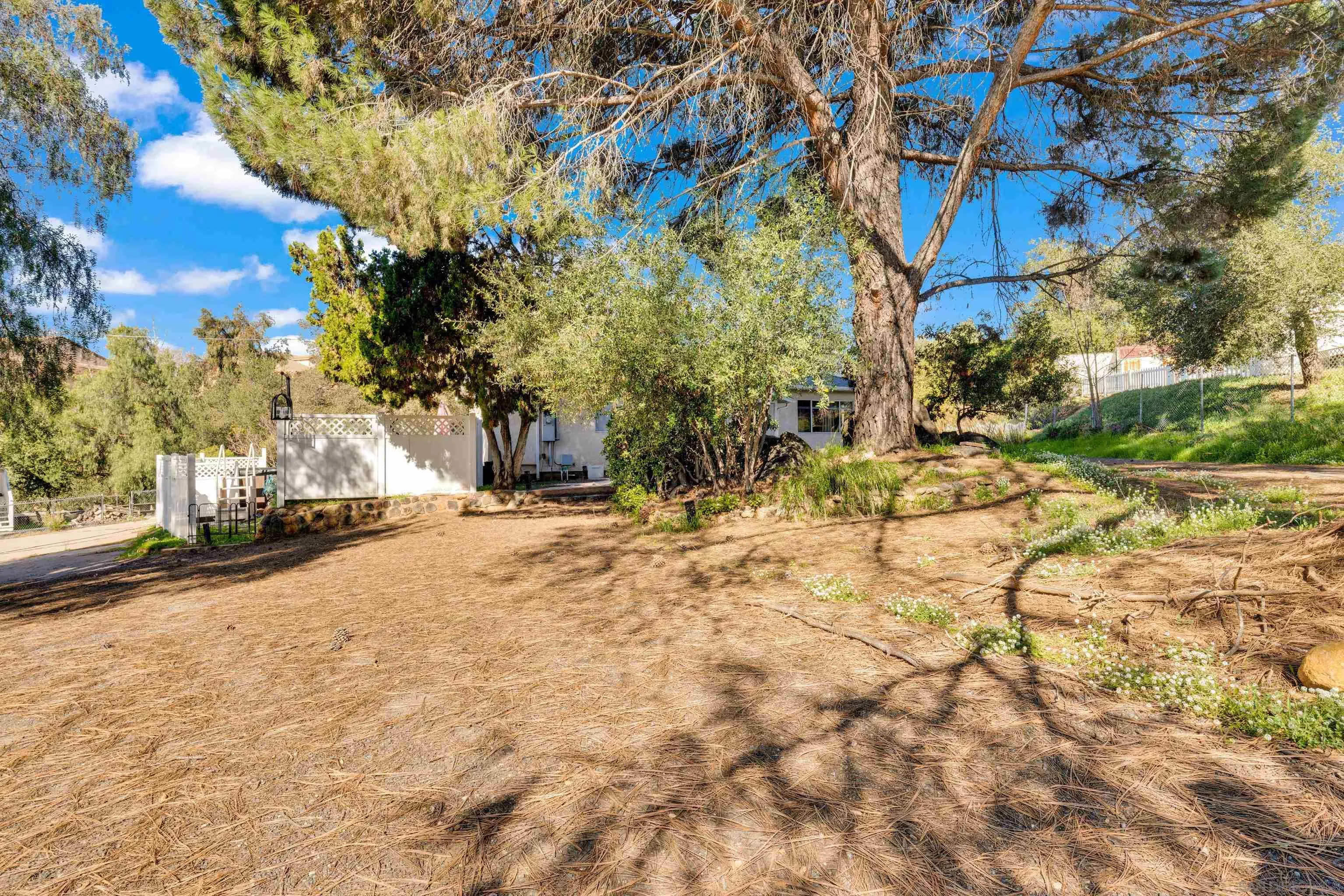 1242 Marshall Road Alpine, CA 91901 - Photo 69 of 74