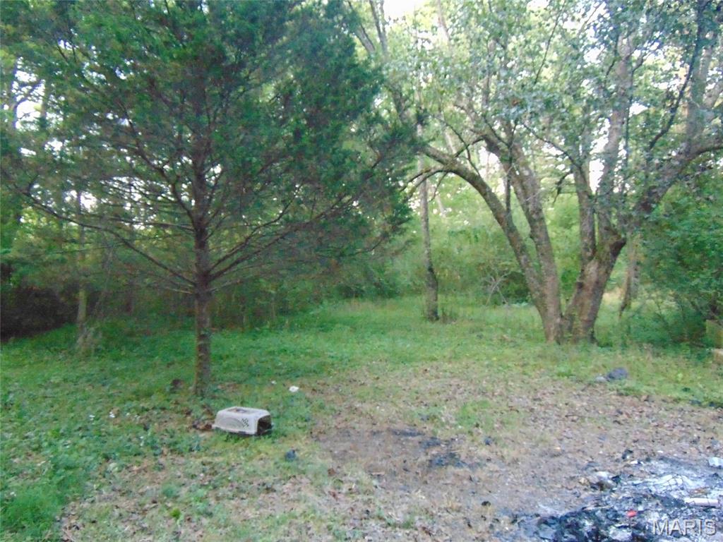 500 Ripley 21n Doniphan, MO 63935 - Photo 17 of 18