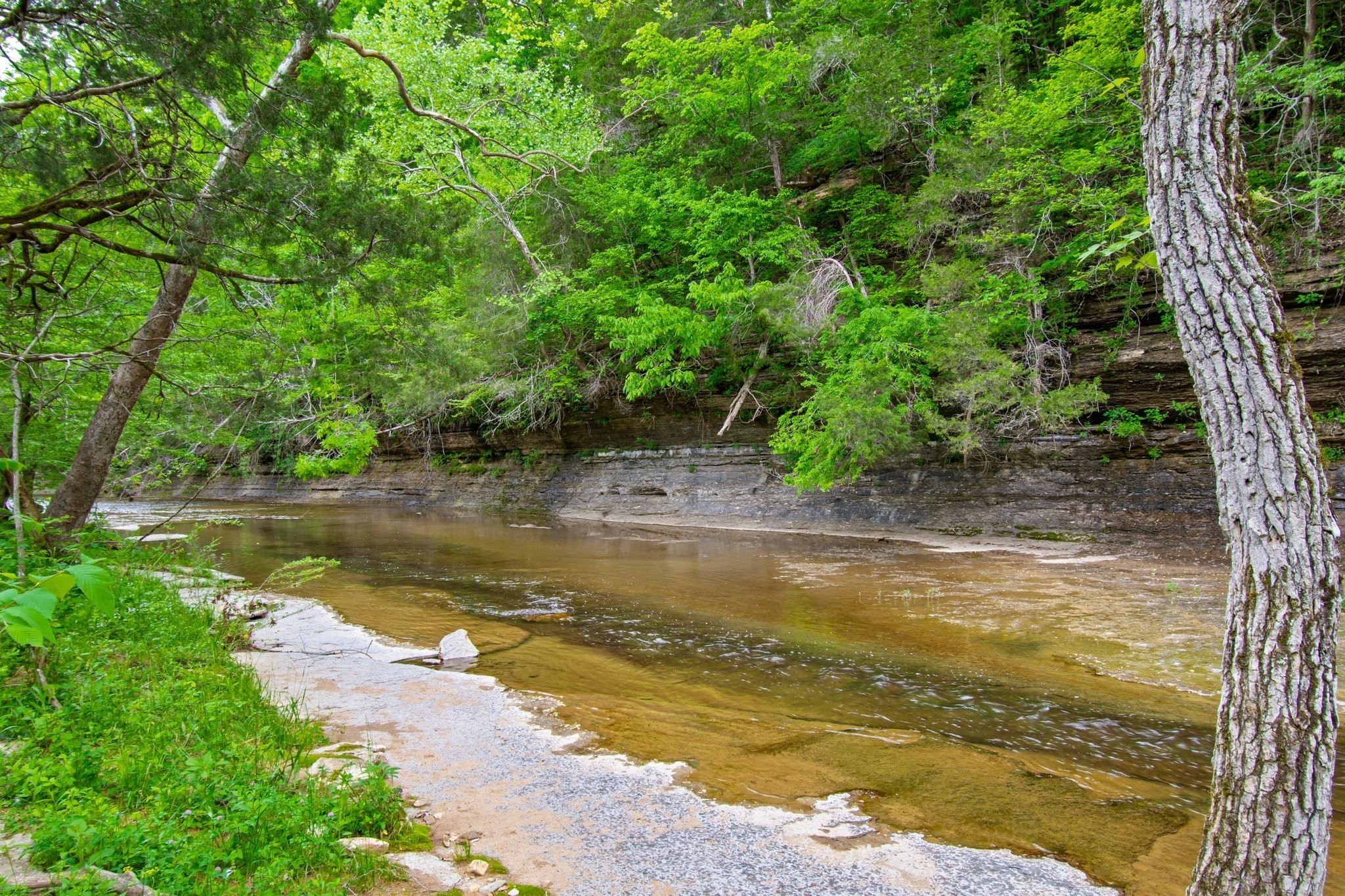 0 Crow Cut Road Fairview, TN 37062 - Photo 1 of 31