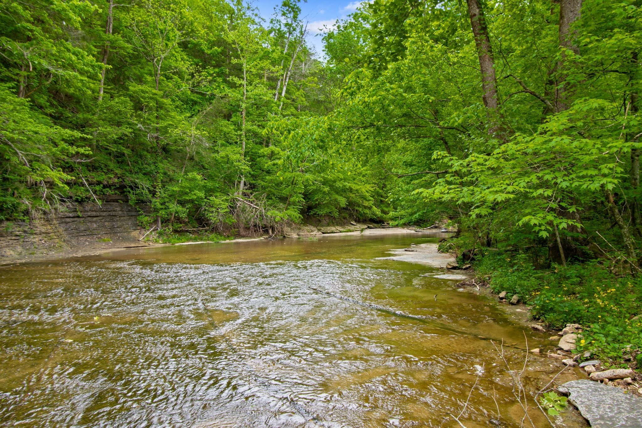 0 Crow Cut Road Fairview, TN 37062 - Photo 11 of 31