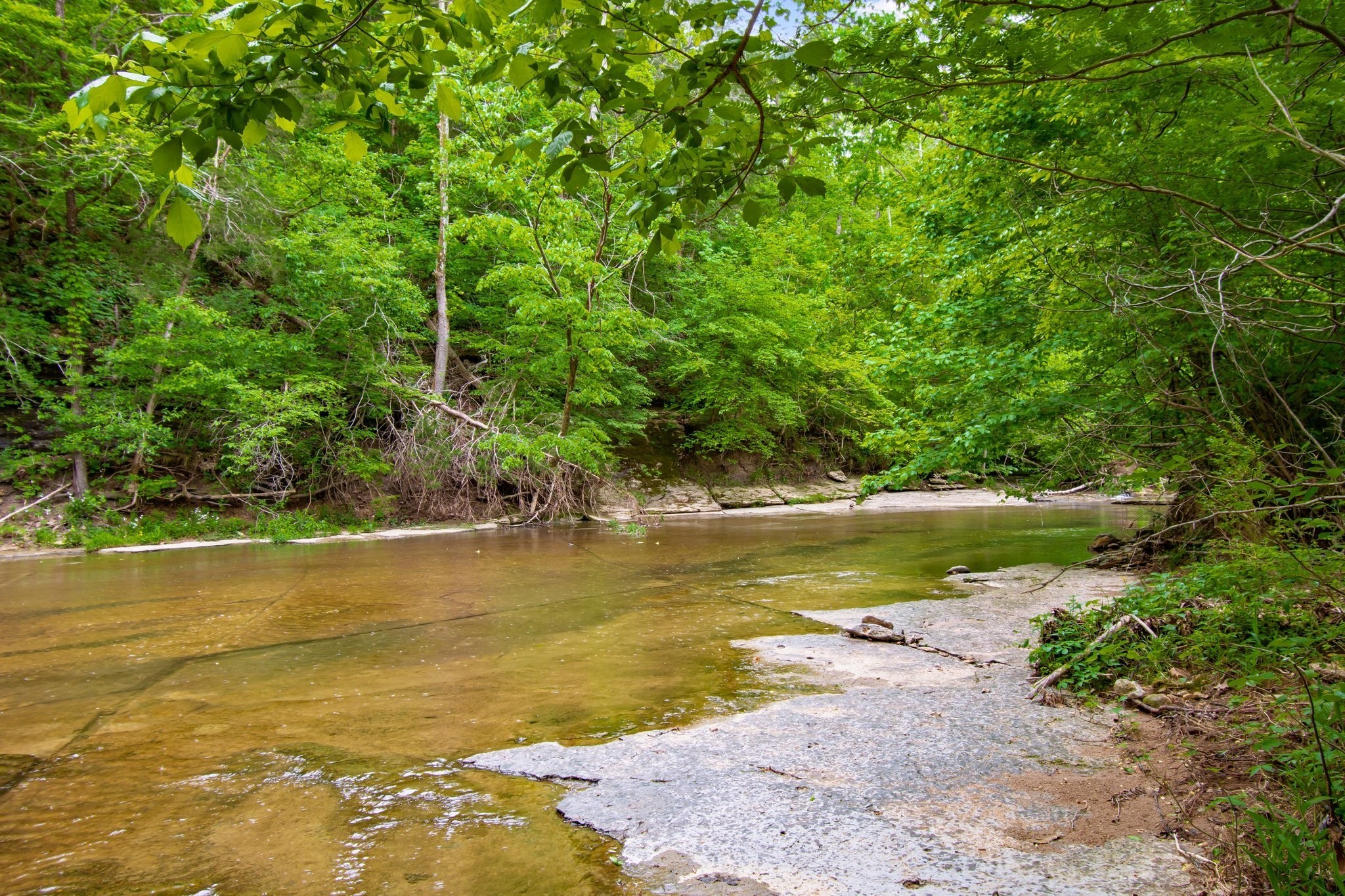 0 Crow Cut Road Fairview, TN 37062 - Photo 12 of 31