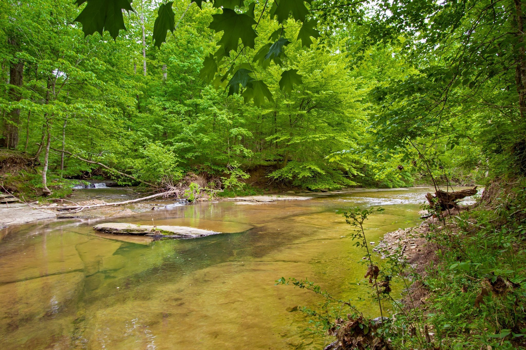 0 Crow Cut Road Fairview, TN 37062 - Photo 13 of 31