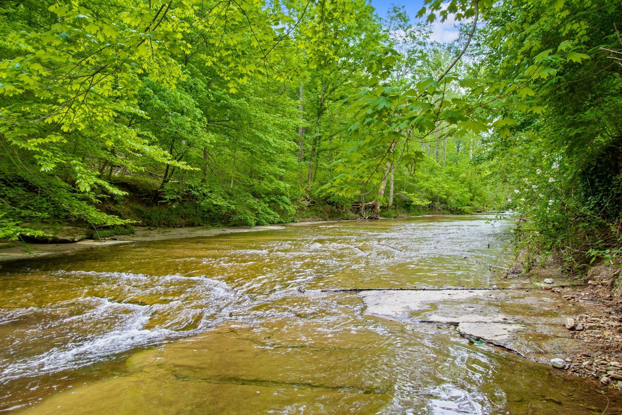 0 Crow Cut Road Fairview, TN 37062 - Photo 15 of 31