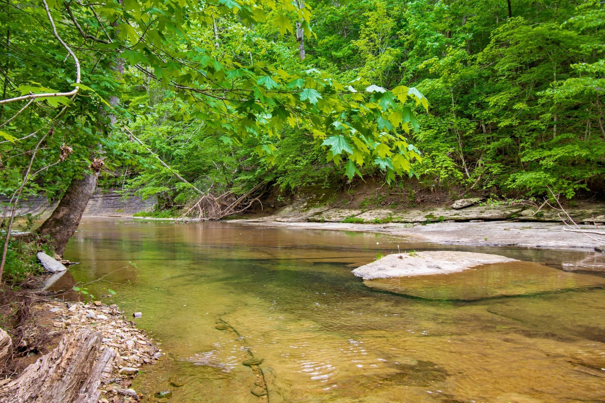 0 Crow Cut Road Fairview, TN 37062 - Photo 16 of 31