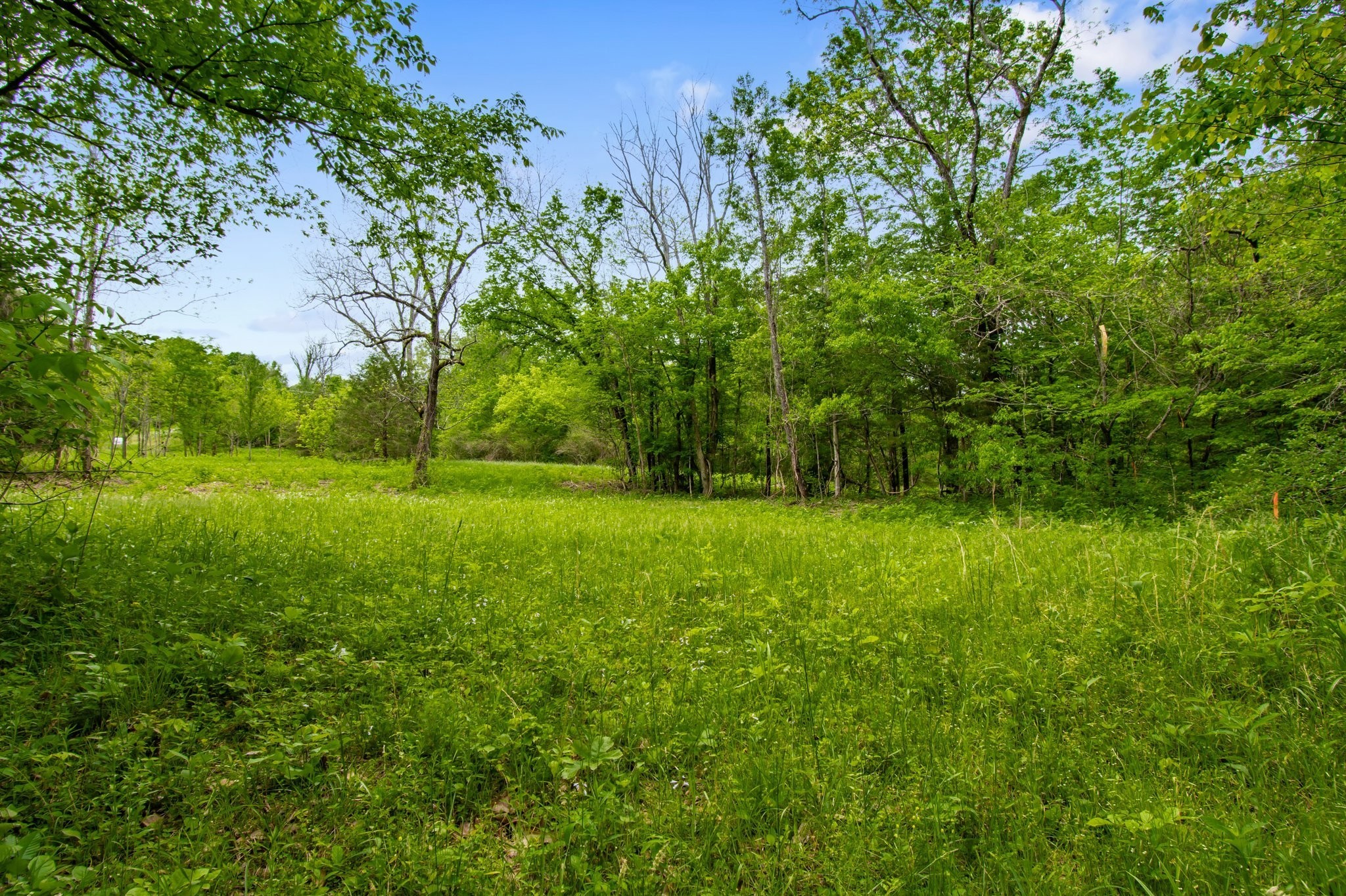0 Crow Cut Road Fairview, TN 37062 - Photo 17 of 31