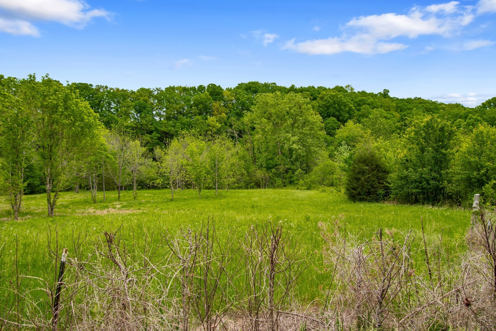 0 Crow Cut Road Fairview, TN 37062 - Photo 20 of 31