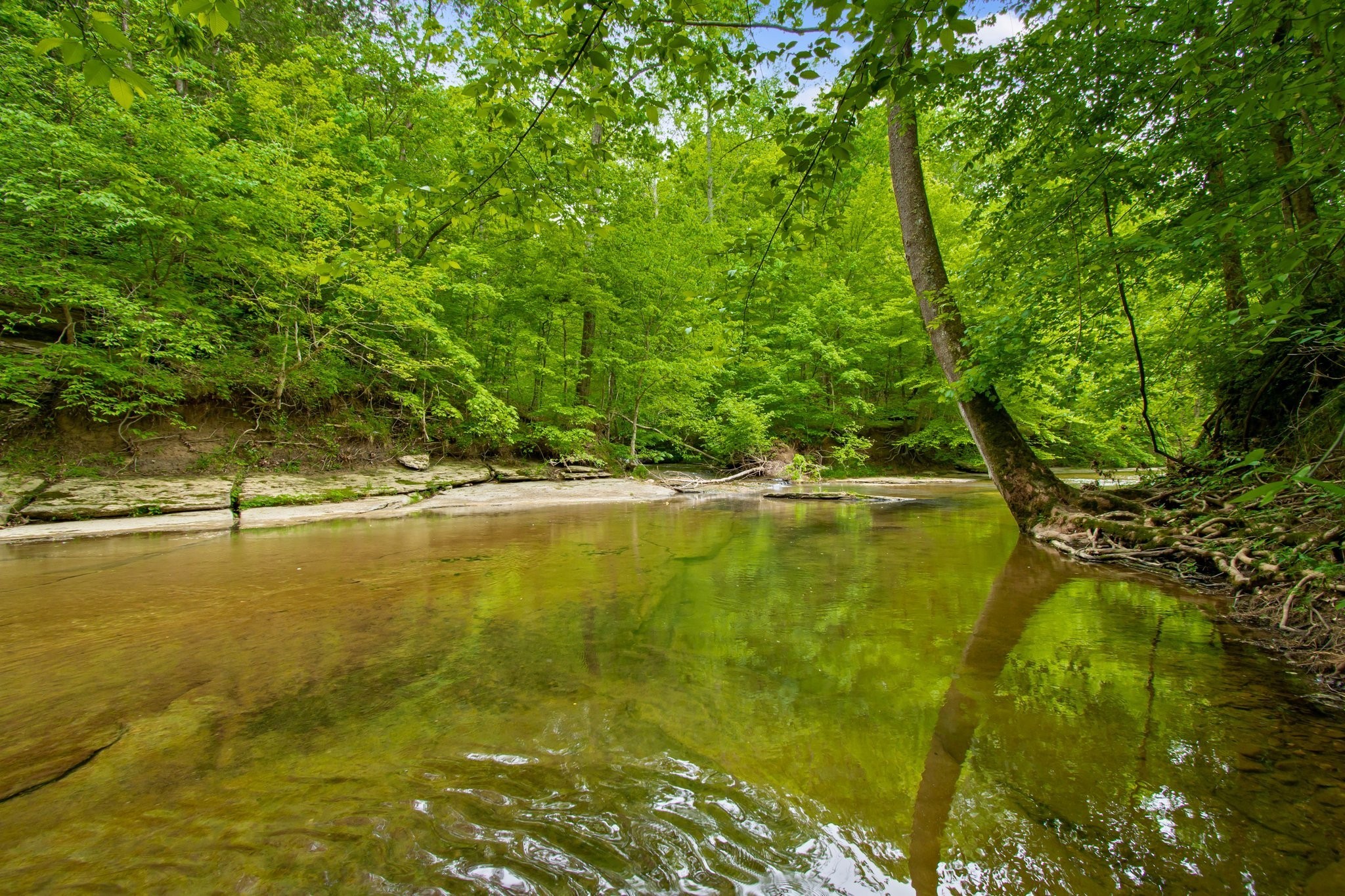0 Crow Cut Road Fairview, TN 37062 - Photo 2 of 31