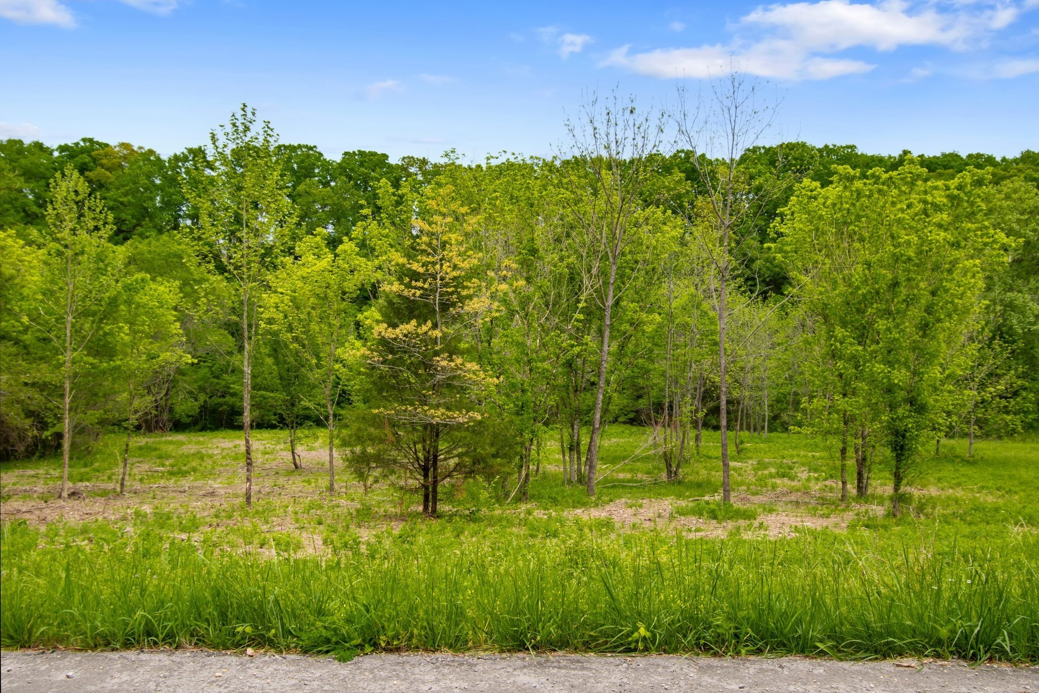 0 Crow Cut Road Fairview, TN 37062 - Photo 21 of 31