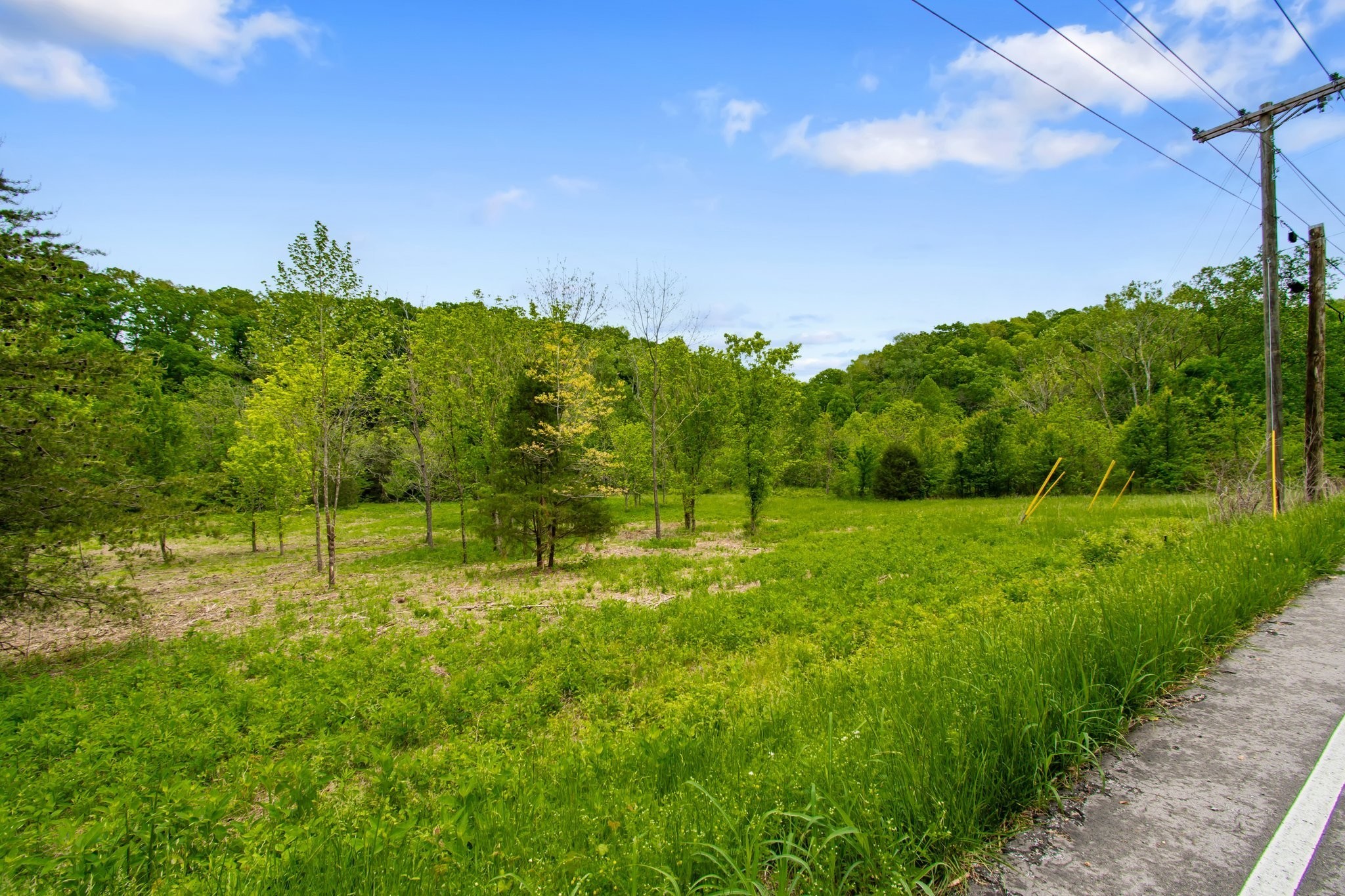 0 Crow Cut Road Fairview, TN 37062 - Photo 22 of 31
