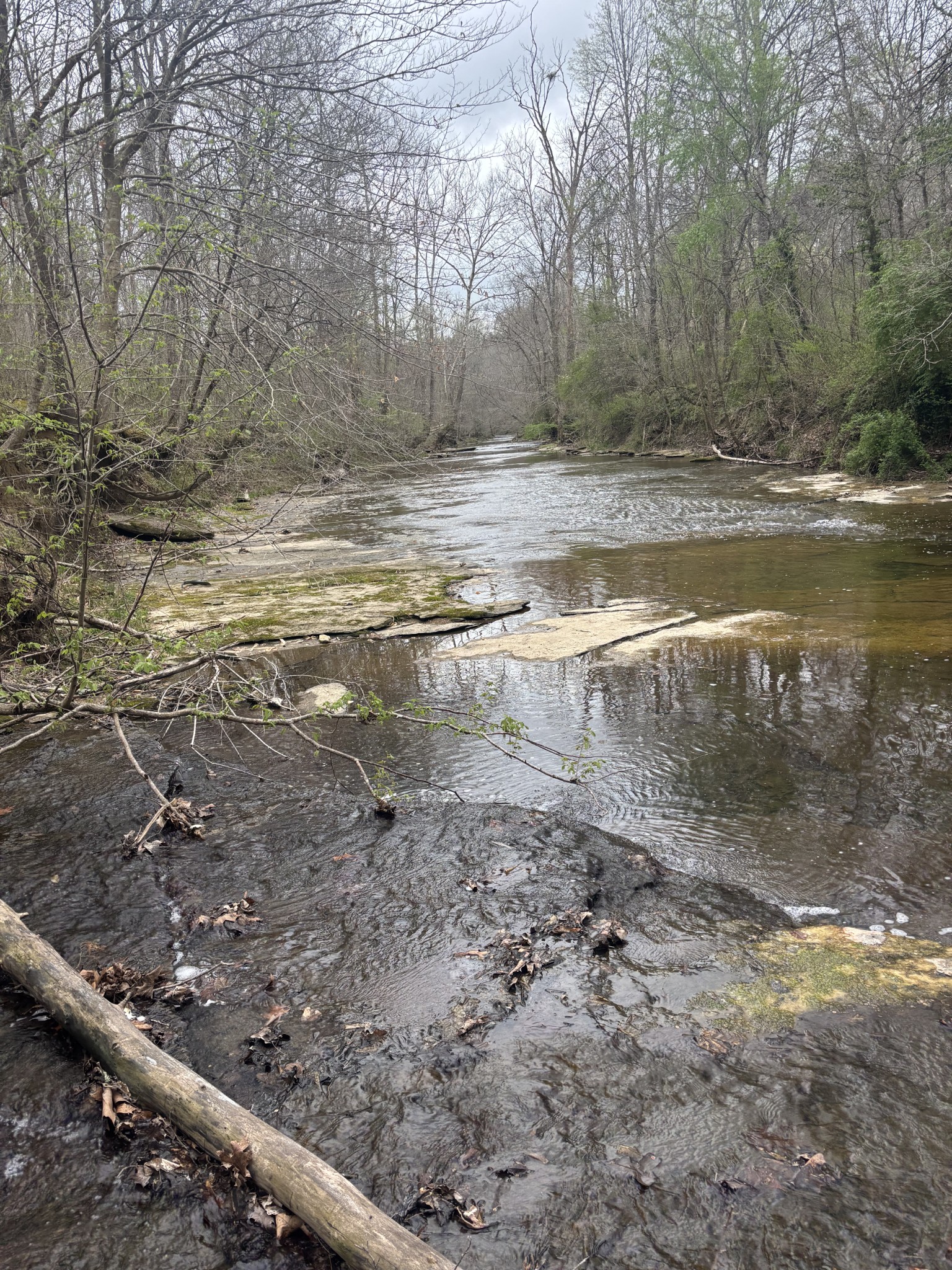 0 Crow Cut Road Fairview, TN 37062 - Photo 23 of 31