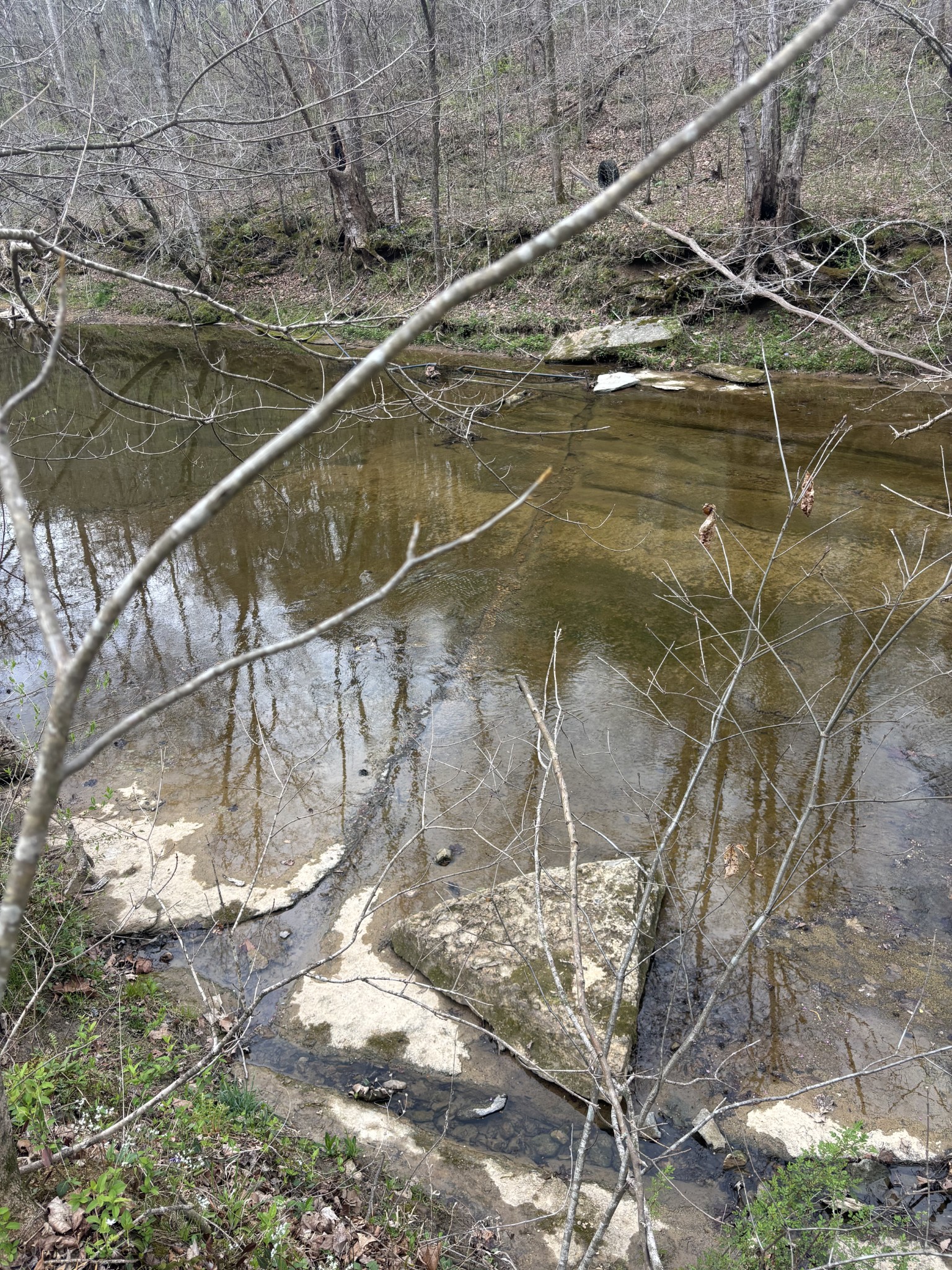 0 Crow Cut Road Fairview, TN 37062 - Photo 25 of 31