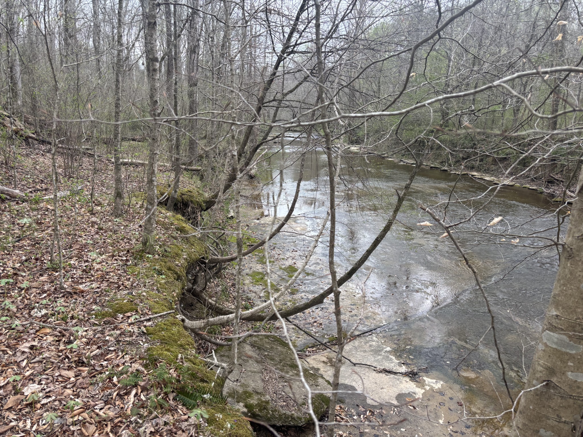 0 Crow Cut Road Fairview, TN 37062 - Photo 26 of 31