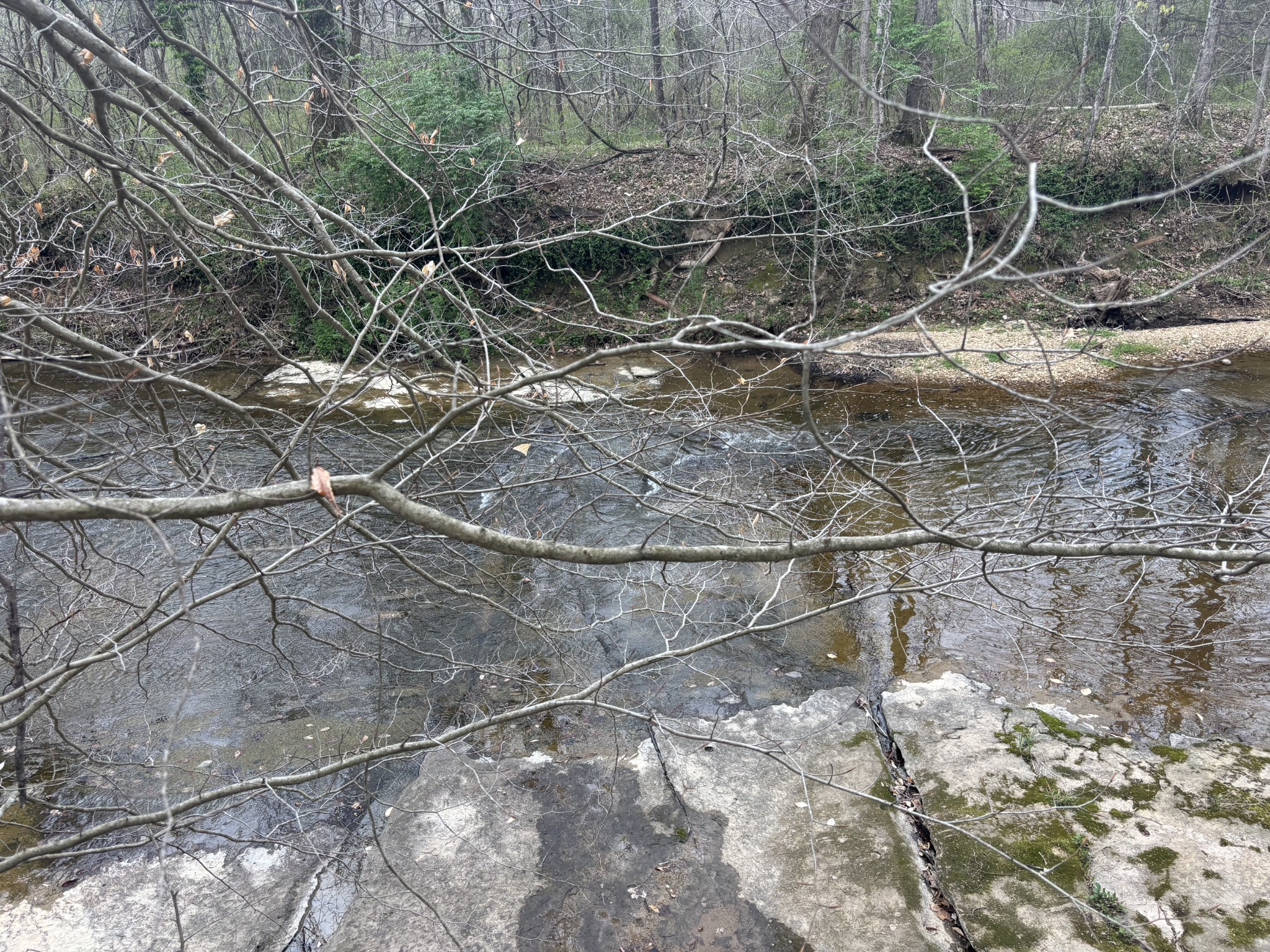 0 Crow Cut Road Fairview, TN 37062 - Photo 27 of 31