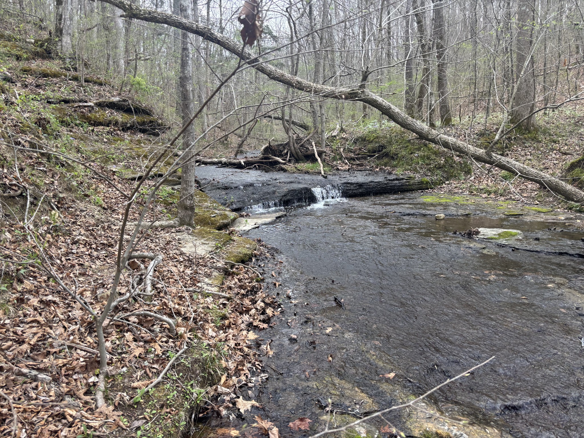 0 Crow Cut Road Fairview, TN 37062 - Photo 29 of 31