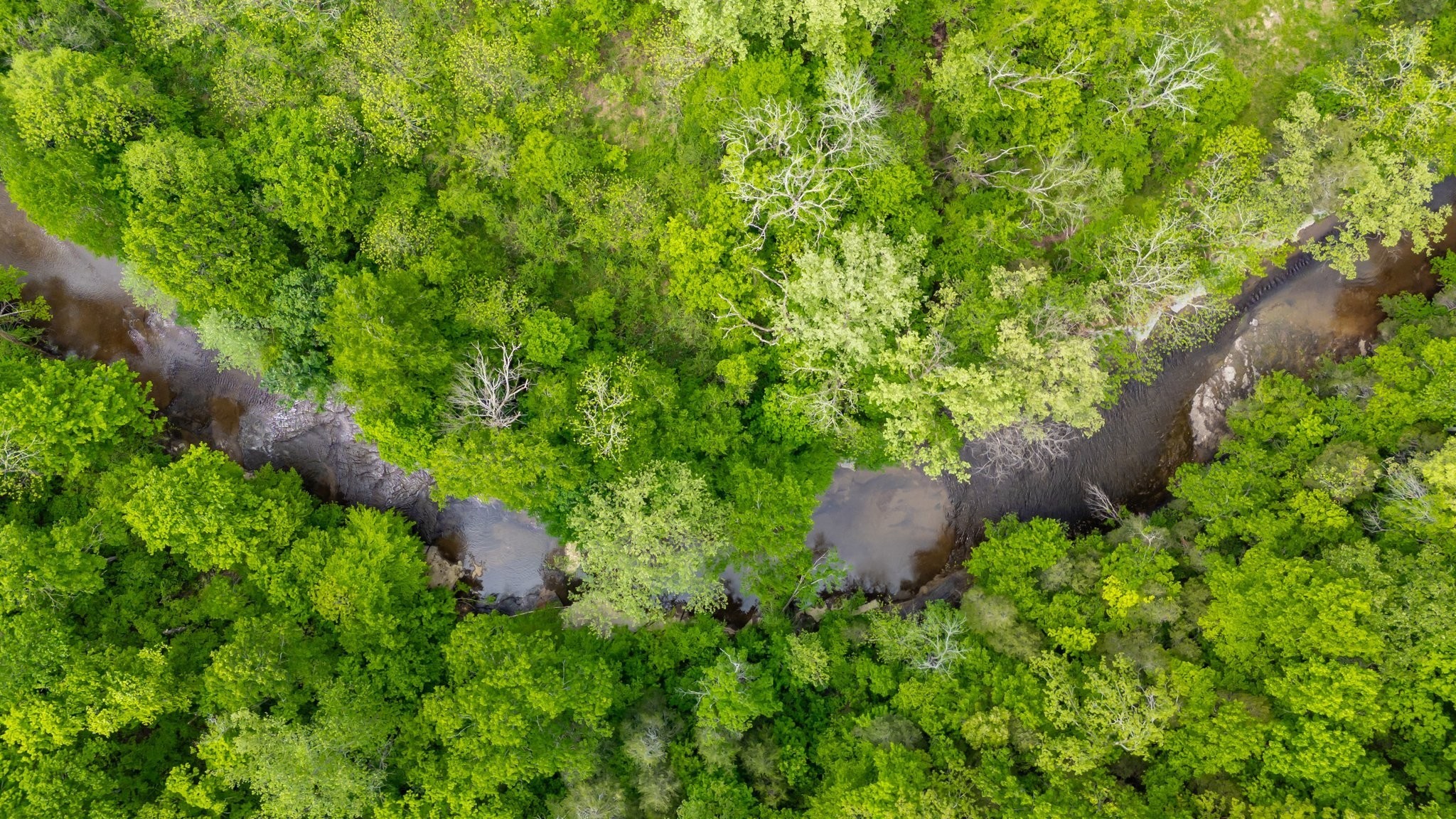 0 Crow Cut Road Fairview, TN 37062 - Photo 3 of 31