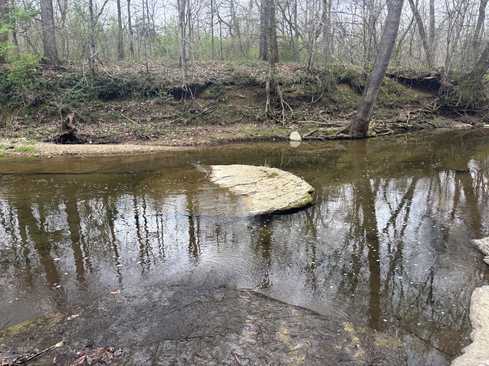 0 Crow Cut Road Fairview, TN 37062 - Photo 31 of 31