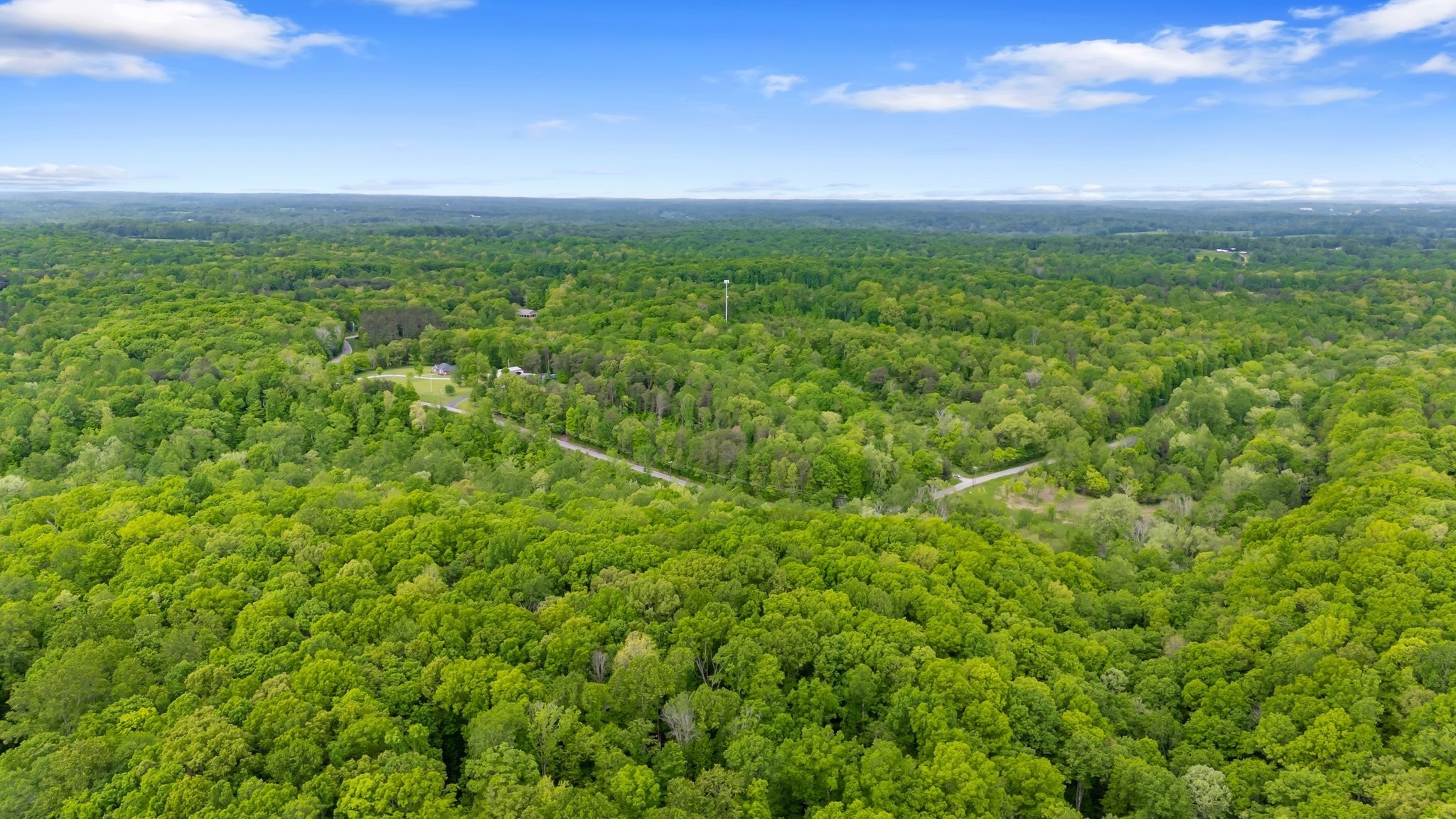 0 Crow Cut Road Fairview, TN 37062 - Photo 5 of 31