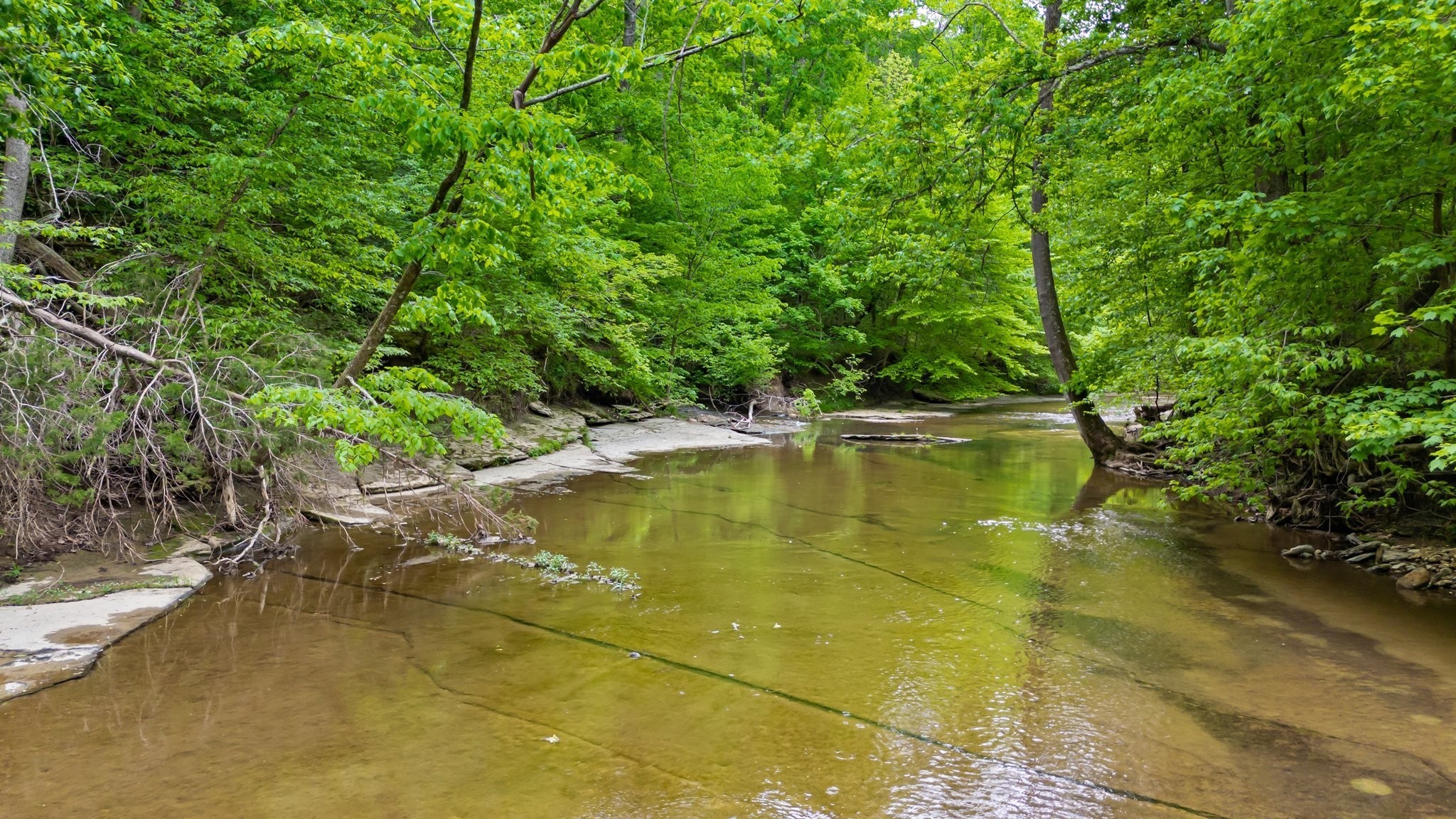 0 Crow Cut Road Fairview, TN 37062 - Photo 8 of 31