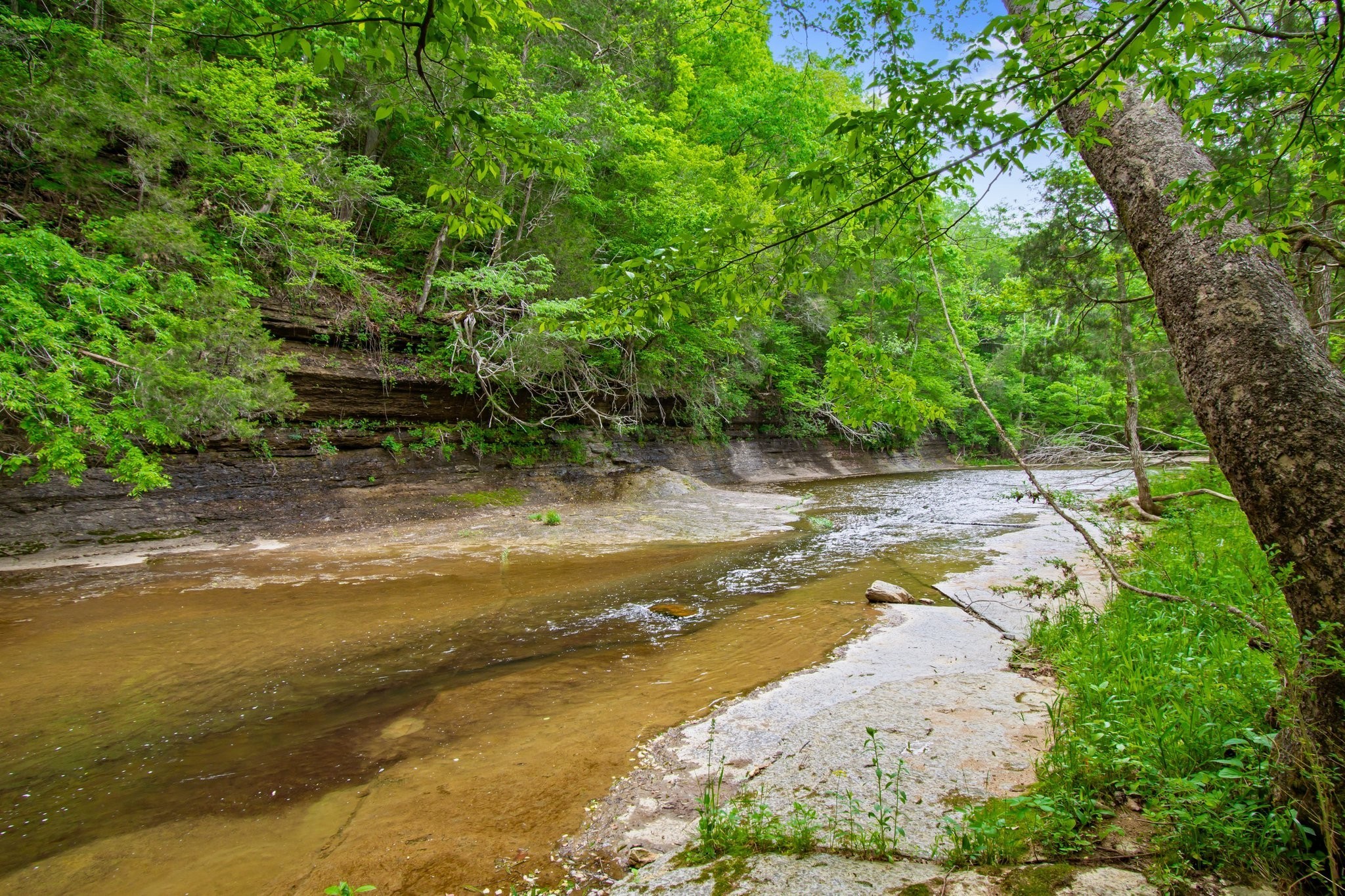 0 Crow Cut Road Fairview, TN 37062 - Photo 9 of 31