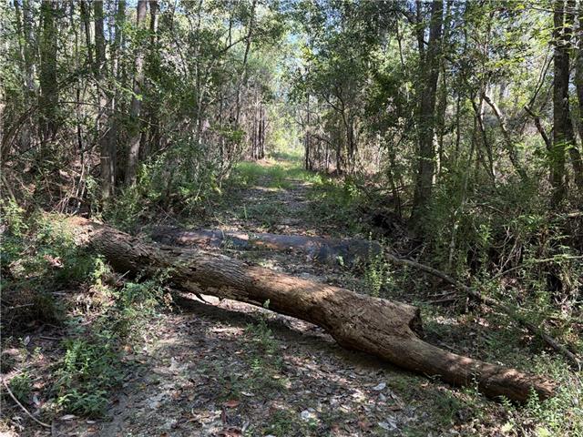 0 Rayford Shumock Road Moss Point, MS 39562 - Photo 20 of 40 Gallery Image 20