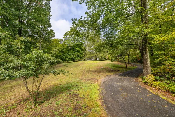 a view of backyard with green space