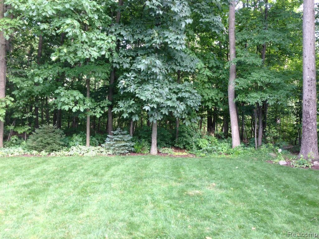 2556 Ravineside South Howell, MI 48843 - Photo 5 of 40 Hardwoods and pines