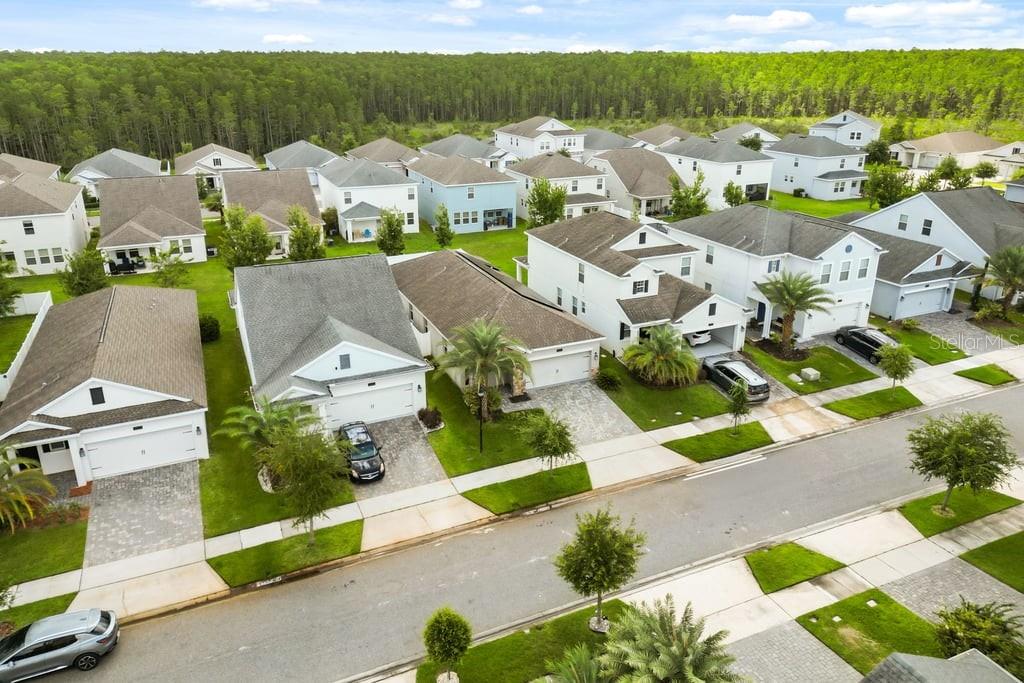 3013 Ballad Road Kissimmee, FL 34746 - Photo 3 of 58