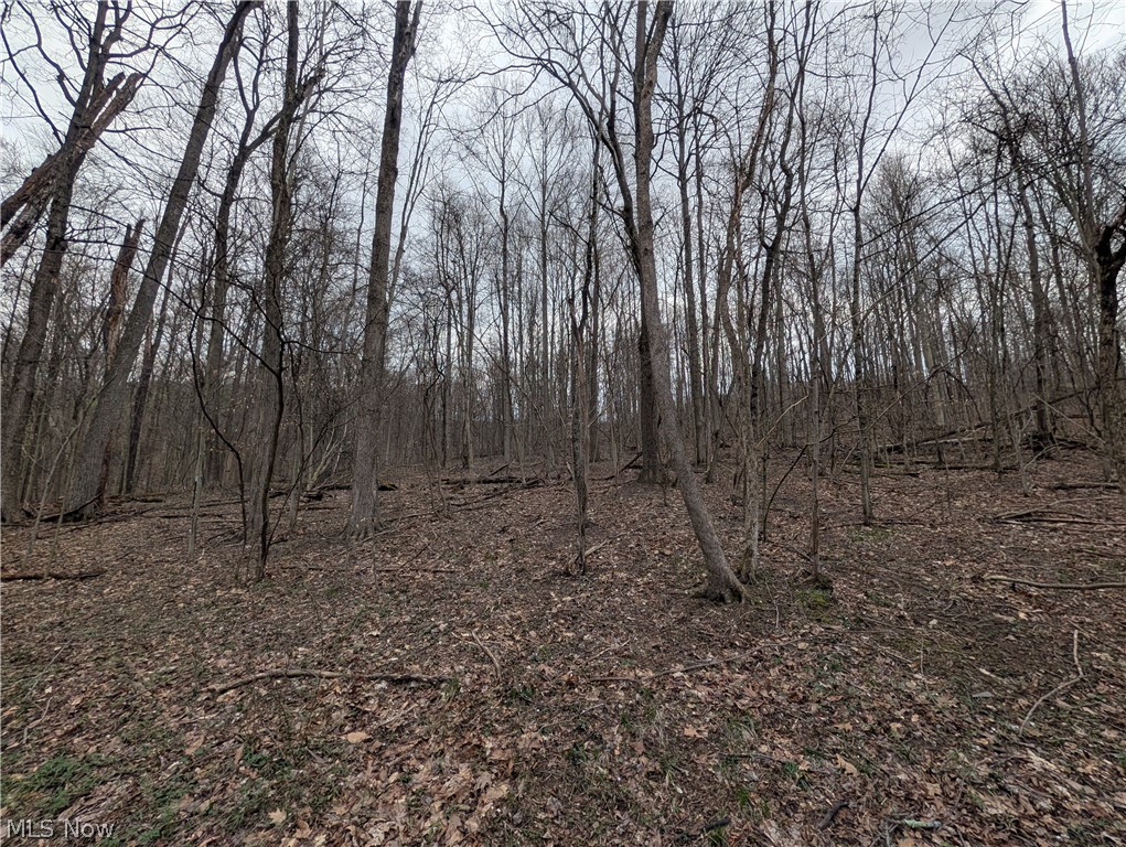 39000 Lees Run Road Cadiz, OH 43907 - Photo 40 of 49