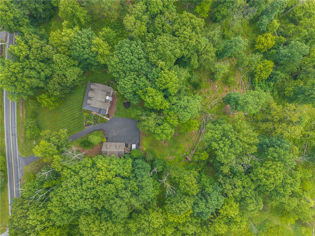 465 Raubsville Road Easton, PA 18042 - Photo 9 of 60 An aerial perspective reveals a secluded estate nestled within a vibrant, verdant landscape.