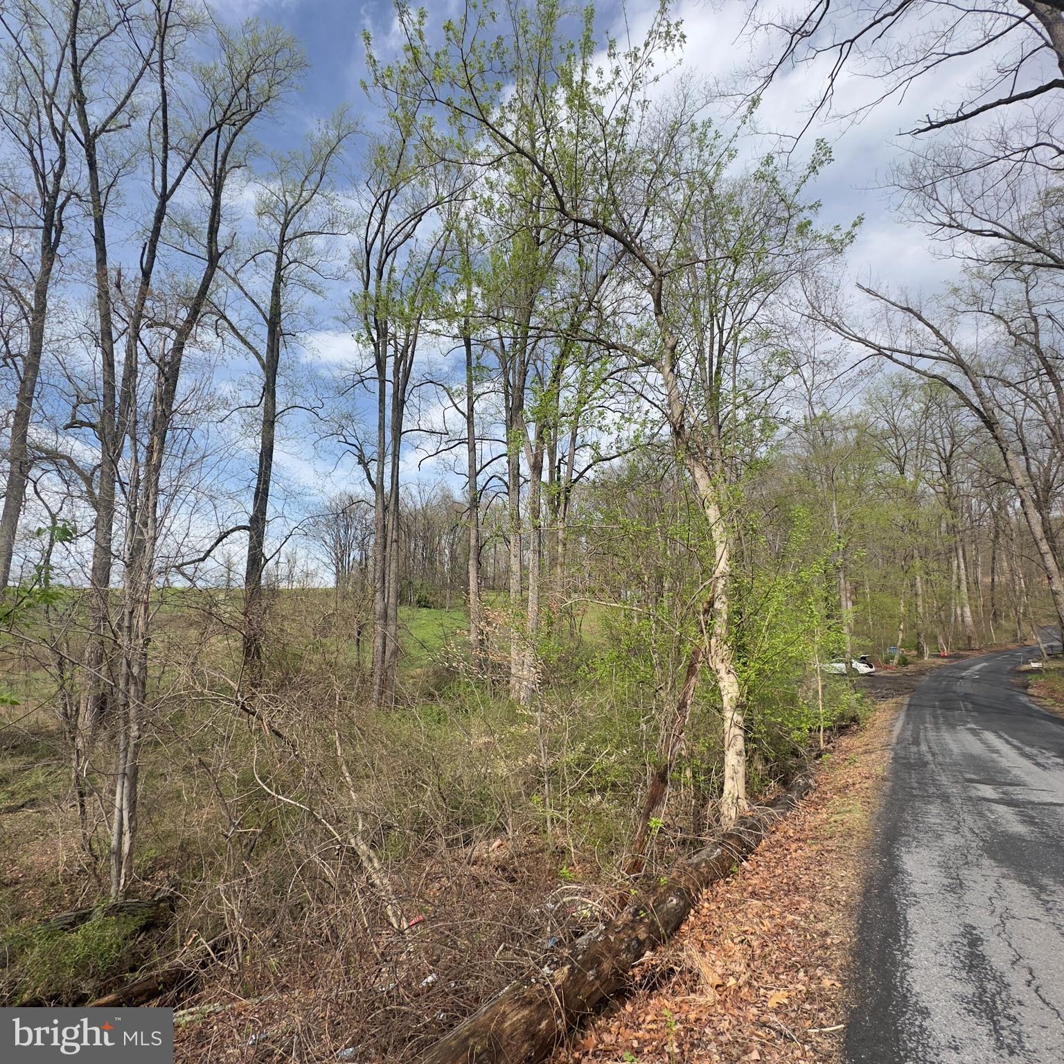 Kingstead Road Damascus, MD 20872 - Photo 14 of 21