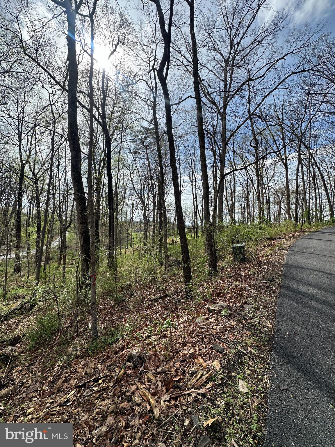 Kingstead Road Damascus, MD 20872 - Photo 20 of 21