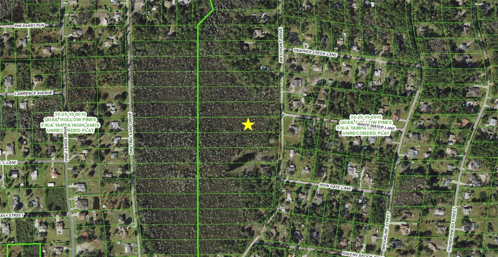 7441 Westpoint Drive Wesley Chapel, FL 33544 - Photo 1 of 1