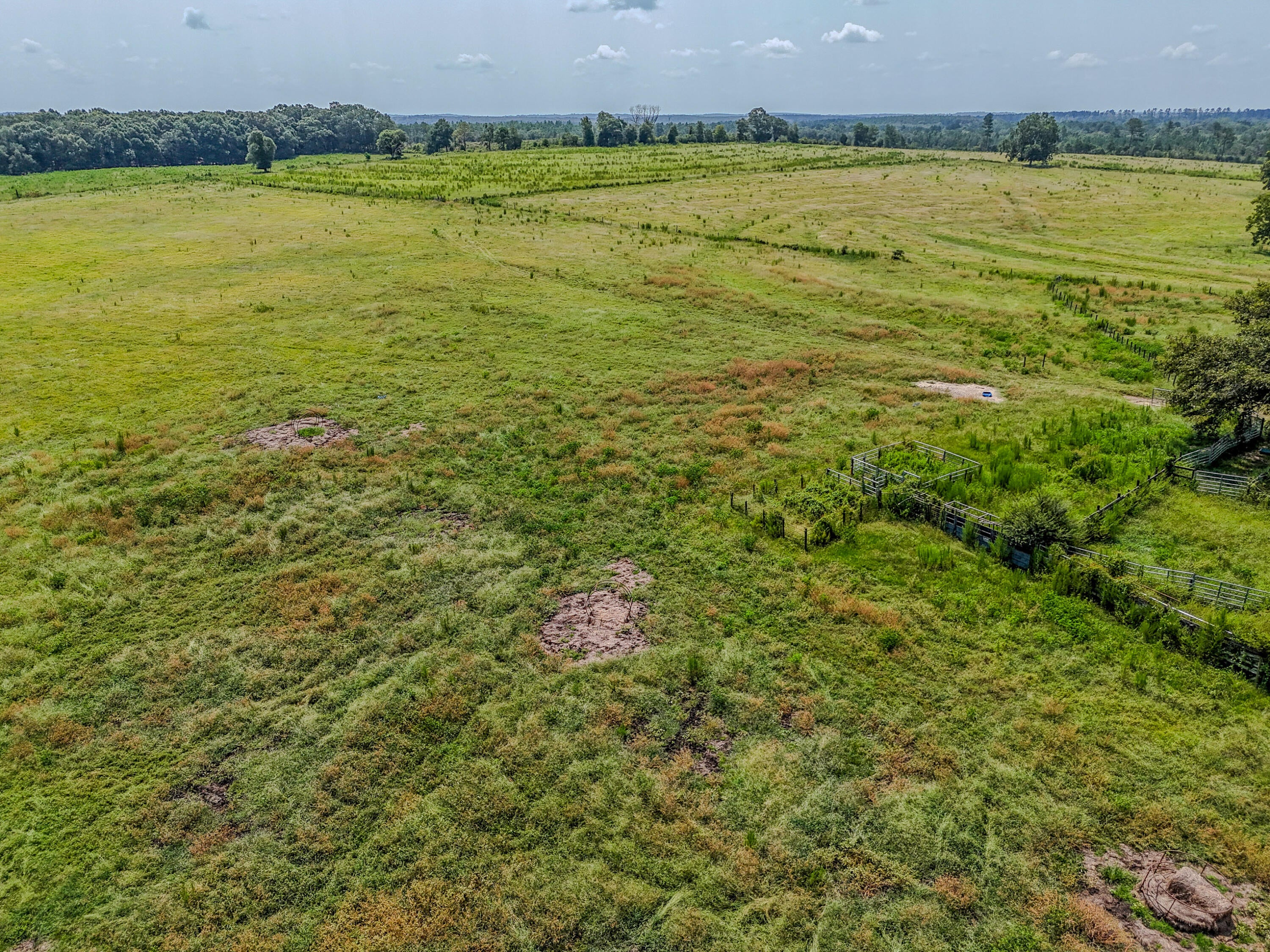 3957 Gopher Ridge Road Samson, AL 36477 - Photo 10 of 25 Gallery Image 10