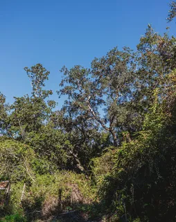 a view of a swimming pool and outdoor space