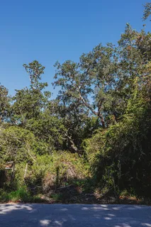 a roof deck with a table and chairs