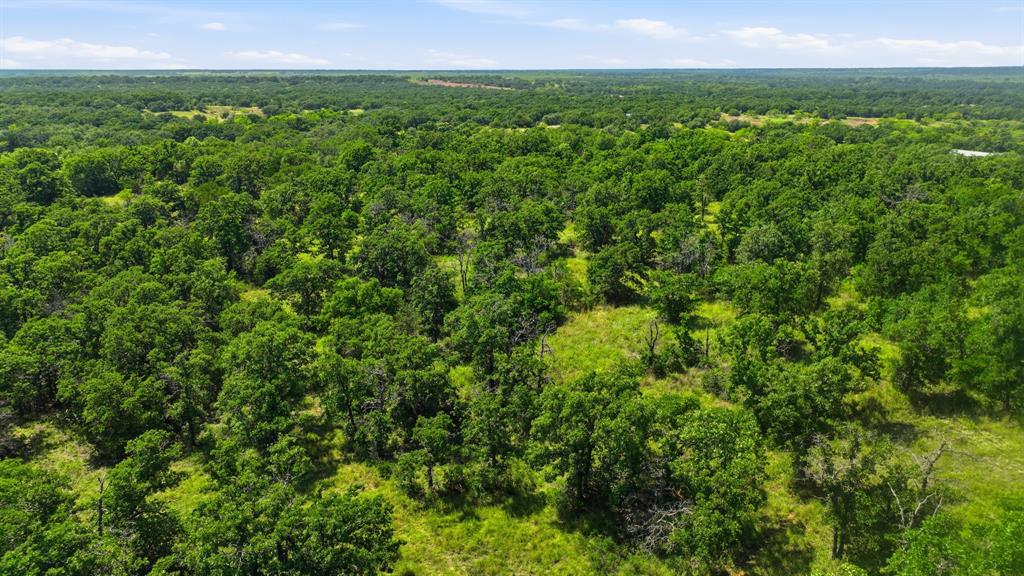Tbd County Rd 581 Cisco, TX 76437 - Photo 4 of 8 Gallery Image 4