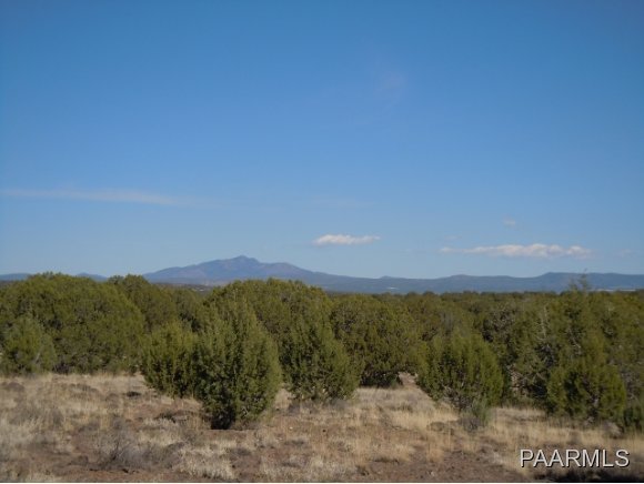0 Crookton Road Williams, AZ 86046 - Photo 1 of 9 Primary Photo