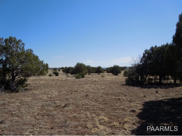 0 Crookton Road Williams, AZ 86046 - Photo 2 of 9 Additional Photo