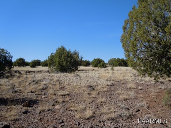 0 Crookton Road Williams, AZ 86046 - Photo 5 of 9 Additional Photo