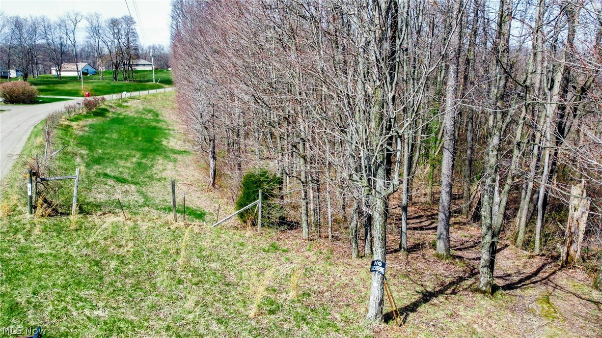 17805 Early Cemetary Road Kimbolton, OH 43749 - Photo 24 of 30