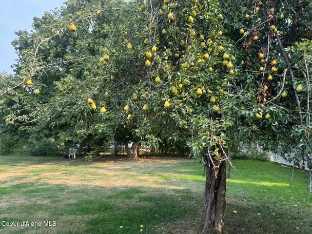 $495,000 | 4306 North Boyer Road, Sandpoint, ID 83864